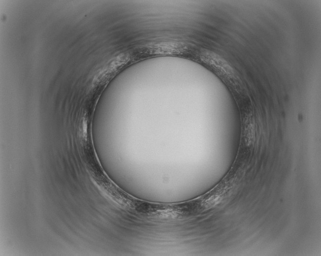 X0000062650310200601040925