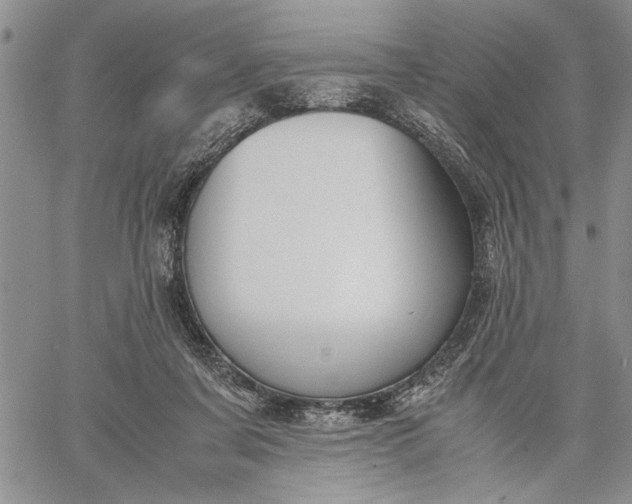 X0000062650311200601040925