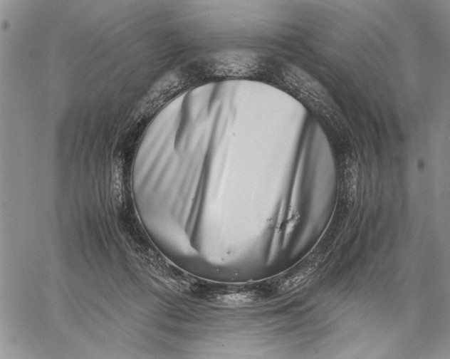 X0000062650312200601040925