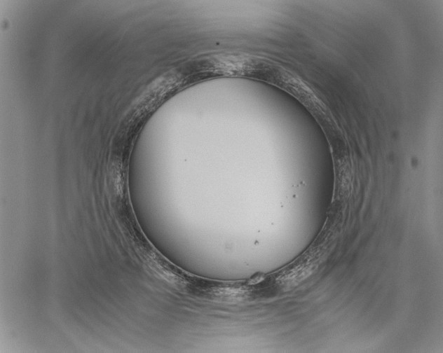 X0000062650313200601040925