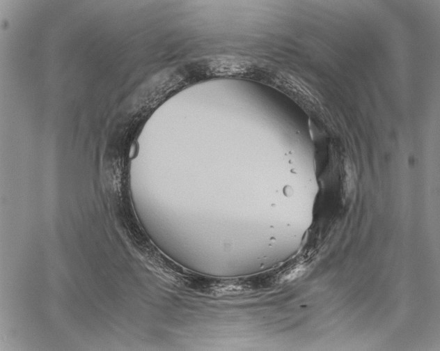 X0000062650315200601040925