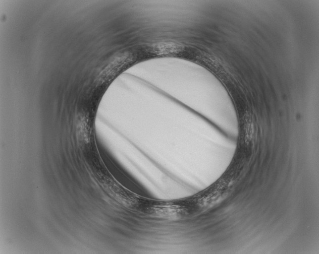 X0000062650316200601040925