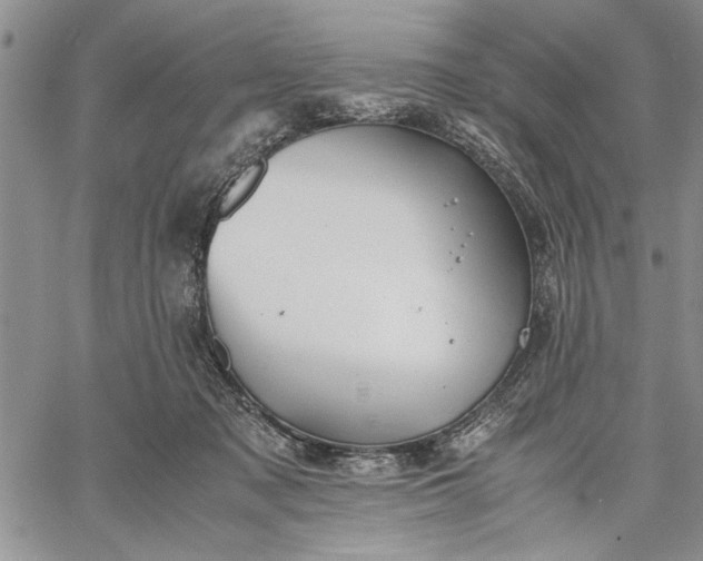 X0000062650317200601040925