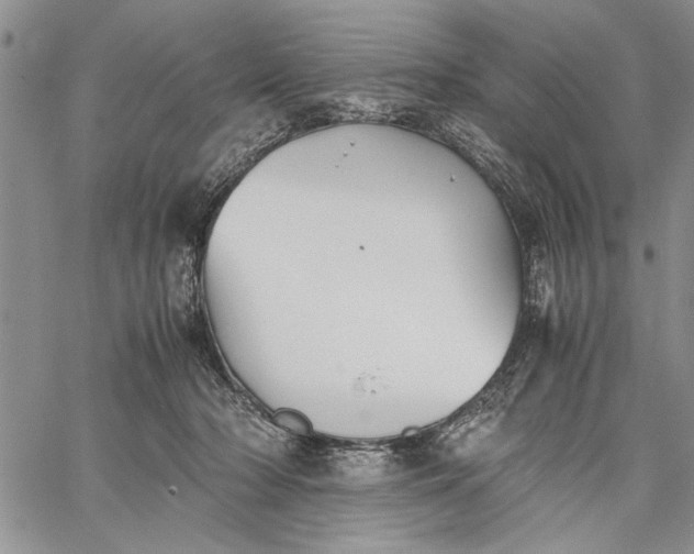 X0000062650318200601040925