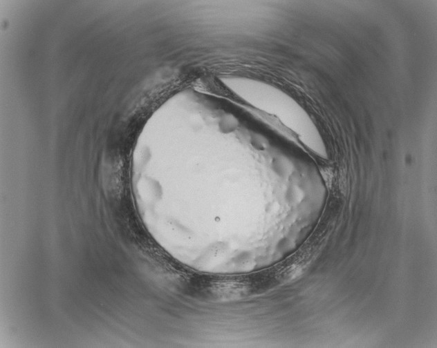 X0000062650319200601040925