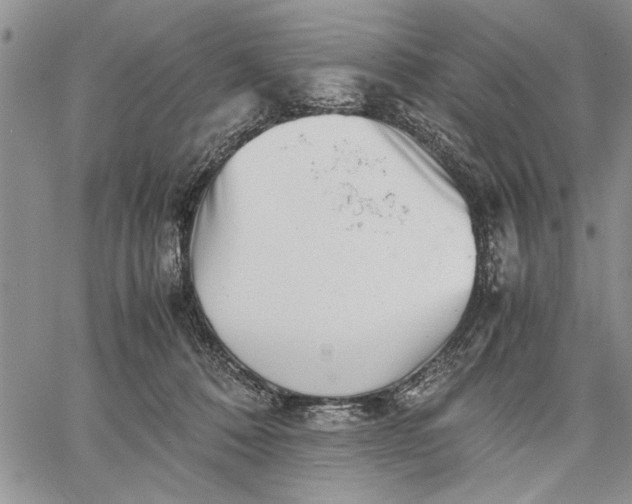 X0000062650320200601040925