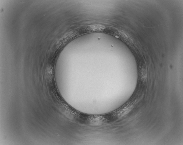 X0000062650321200601040925