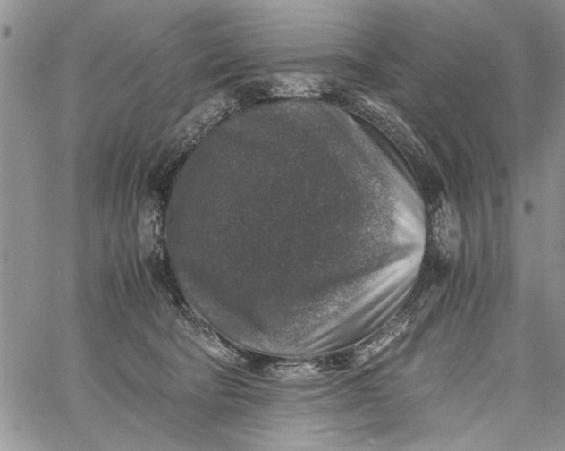 X0000062650322200601040924