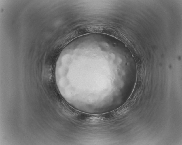 X0000062650323200601040924