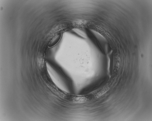 X0000062650324200601040924