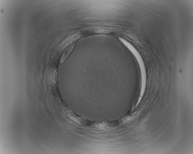 X0000062650325200601040924