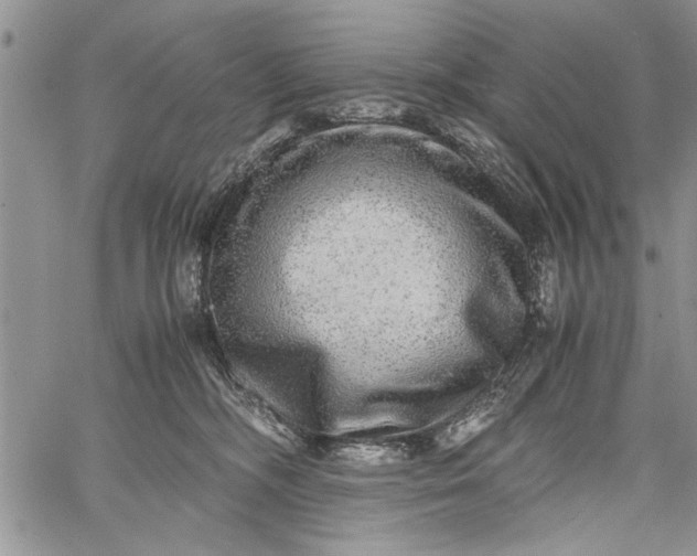 X0000062650326200601040924