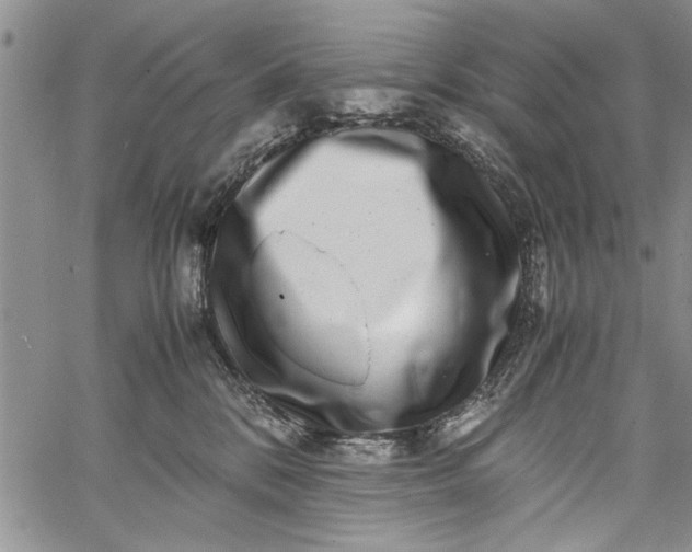 X0000062650328200601040924