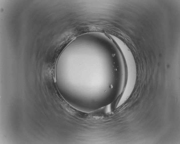 X0000062650329200601040924