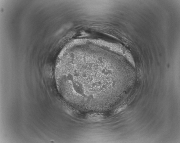 X0000062650331200601040924