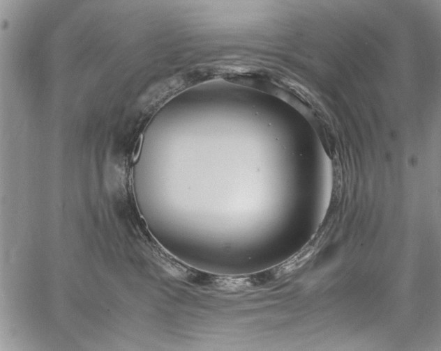 X0000062650333200601040924