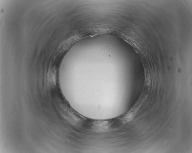 X0000062650334200601040924