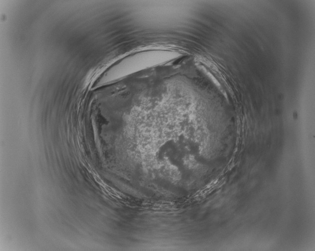 X0000062650337200601040923