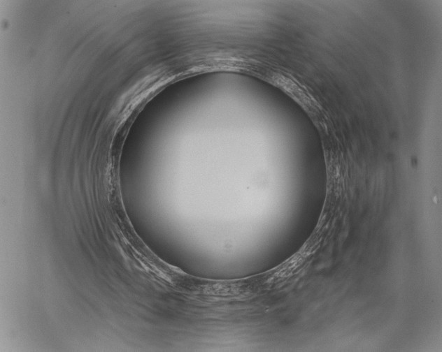 X0000062650338200601040923