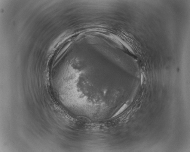 X0000062650339200601040923