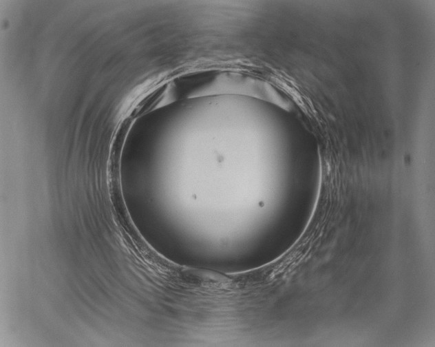 X0000062650340200601040923