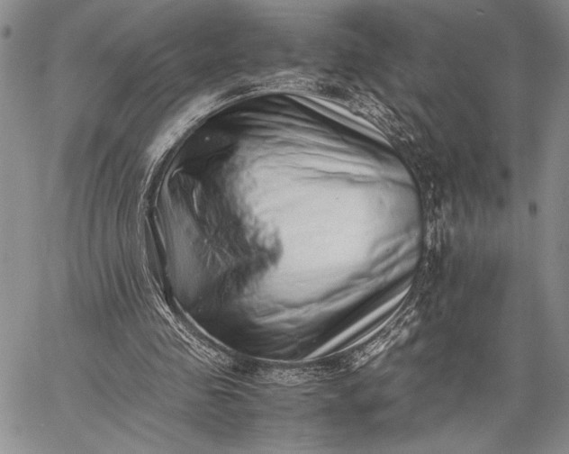 X0000062650341200601040923