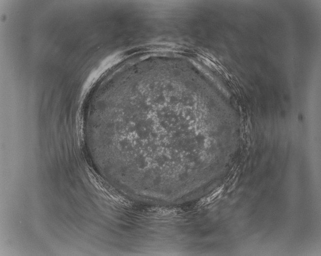 X0000062650343200601040924