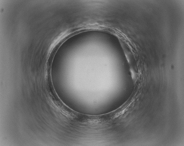 X0000062650344200601040924