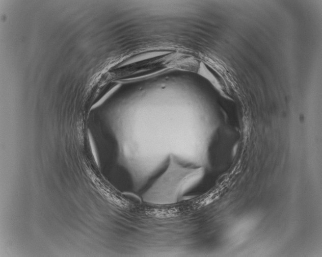 X0000062650345200601040924