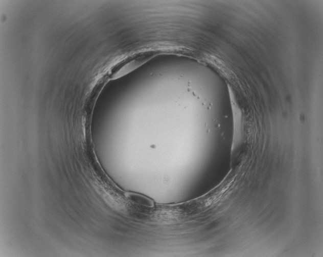 X0000062650350200601040924