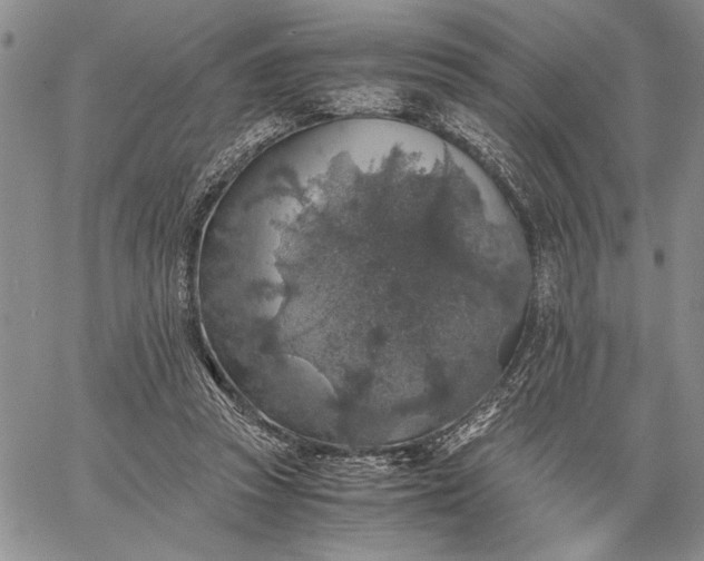 X0000062650353200601040924