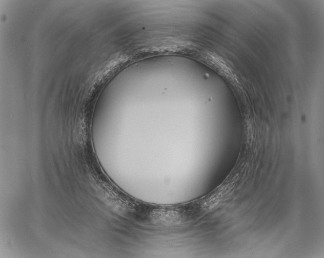 X0000062650354200601040924