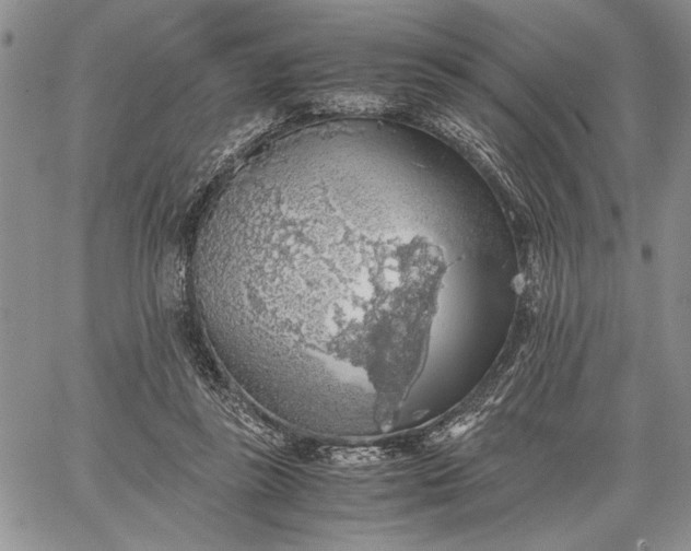 X0000062650355200601040924