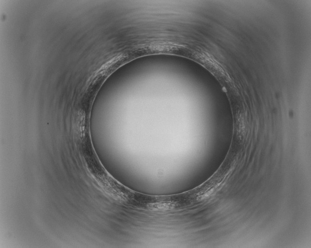 X0000062650356200601040924