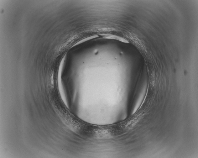 X0000062650358200601040924