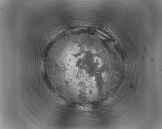 X0000062650359200601040924