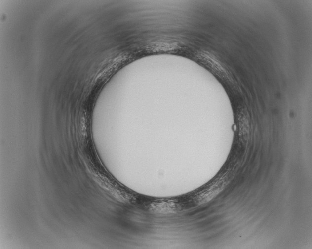 X0000062650362200601040924