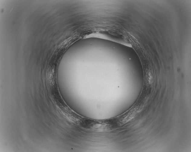 X0000062650364200601040924