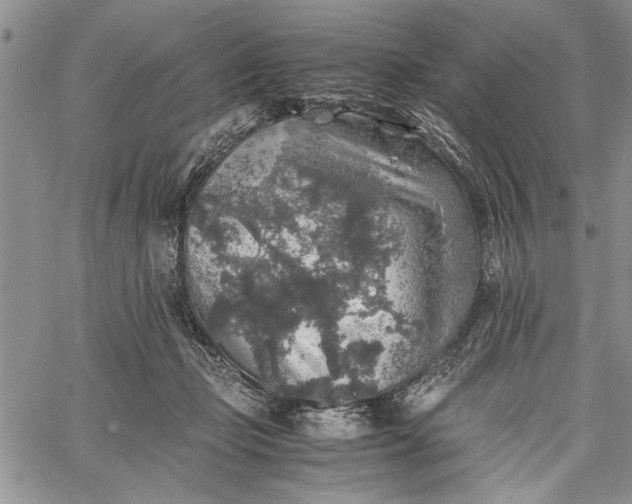 X0000062650365200601040924