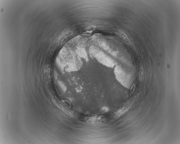 X0000062650366200601040924