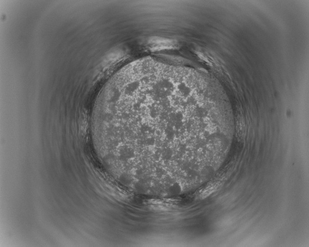 X0000062650367200601040924