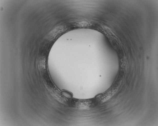 X0000062650368200601040924