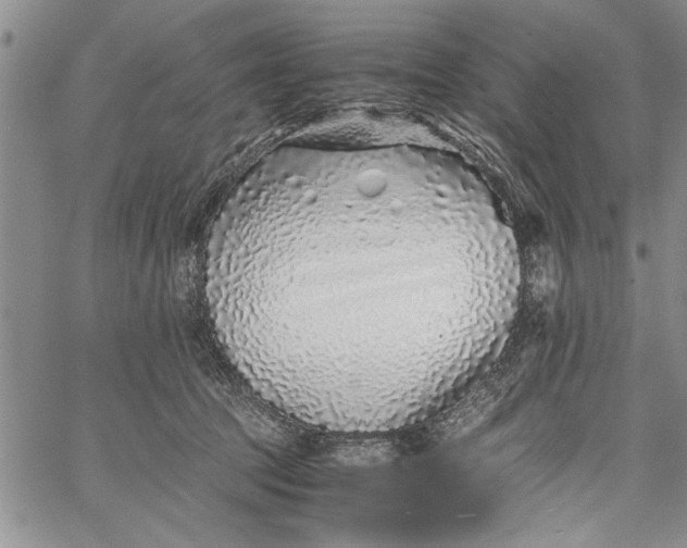 X0000062650369200601040924