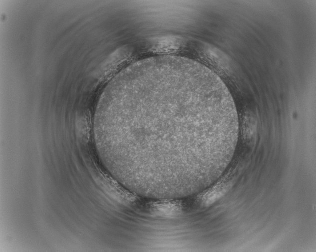 X0000062650370200601040924