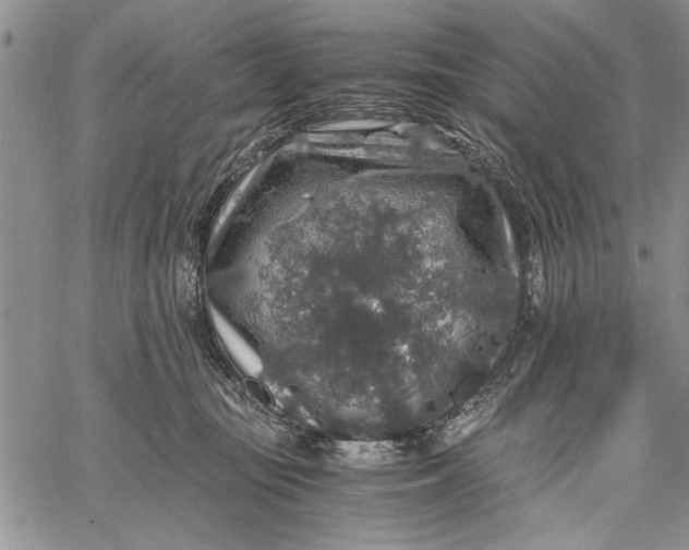 X0000062650371200601040924