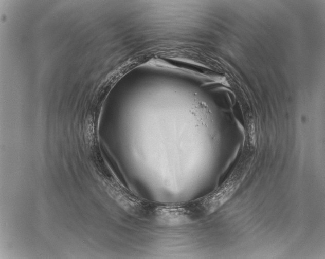 X0000062650372200601040924