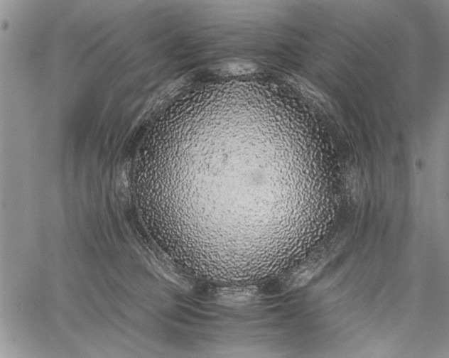 X0000062650373200601040924