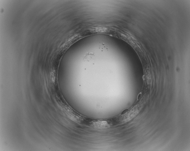 X0000062650374200601040924