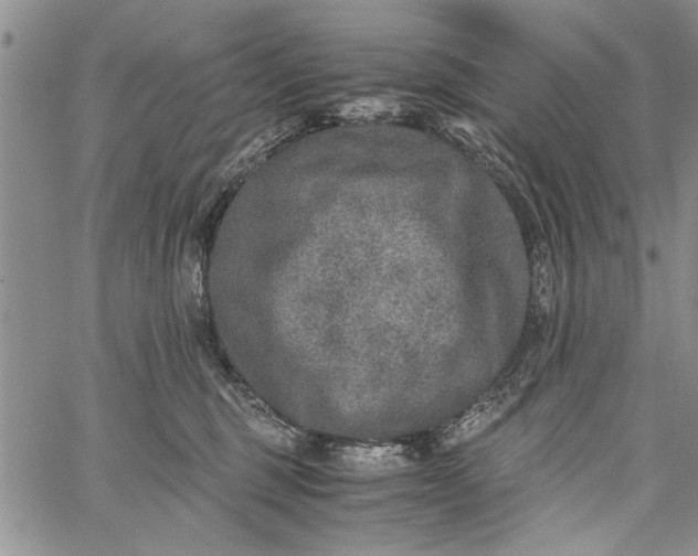 X0000062650375200601040924