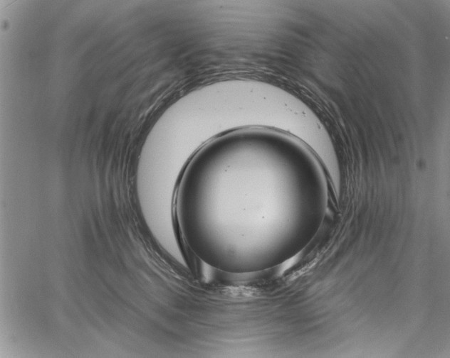 X0000062650376200601040924